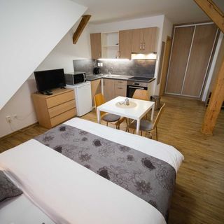 Apartmány 21 Třeboň (2)