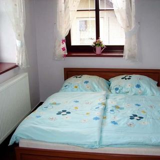 Penzion Fialka Velké Losiny (2)