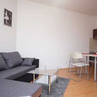 Ubytování v Losinách Velké Losiny (3)