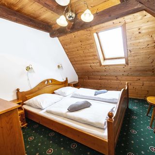 Hotel Svatý Hubert Boží Dar (5)