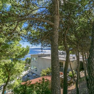 Apartments Lile Brela (4)