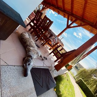 Desiparti Apartman Kaposvár (3)