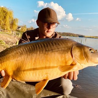 Desiparti Apartman Kaposvár (4)