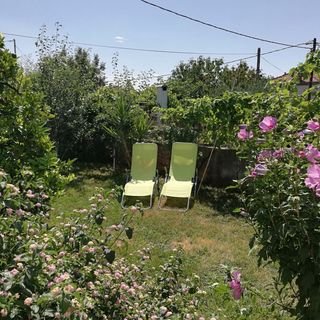 Apartmani Šantić Trogir (3)