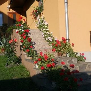 Casa de oaspeți Margaréta Tibod (3)