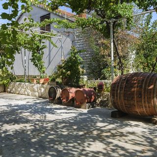 Apartment Niko Vodice (3)