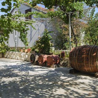 Apartment Niko Vodice (3)