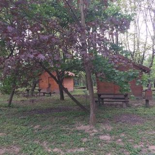 Árnyaserdő Vendégház Ugod (5)