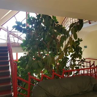 Boglári Ifjúsági Szálló Balatonboglár (4)