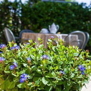 Apartments Stana Zadar (5)