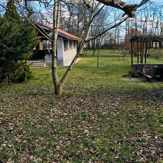 Aligvár Vendégház Salföld (3)