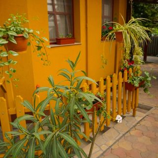 Erzsébet Apartman Siófok (5)