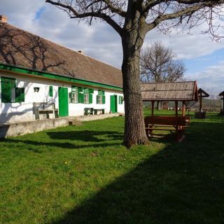 Racka Vendégház és Jurtaszállás Erdősmecske (4)