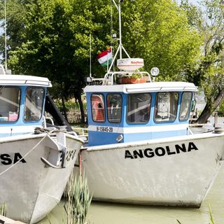 Akvárium Apartmanházak Keszthely (2)