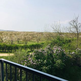 Késa Magtár Vendégház Látrány (4)