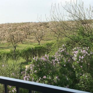 Késa Magtár Vendégház Látrány (5)