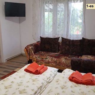 Casa de oaspeți Sepsi-Szék Sfântu Gheorghe (4)