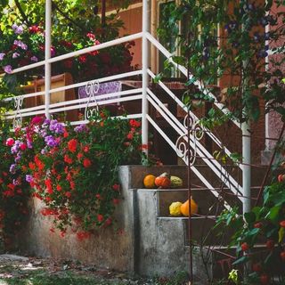 Casa de oaspeți Sepsi-Szék Sfântu Gheorghe (2)