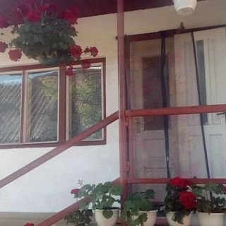 Apartament Magdolna Praid (2)