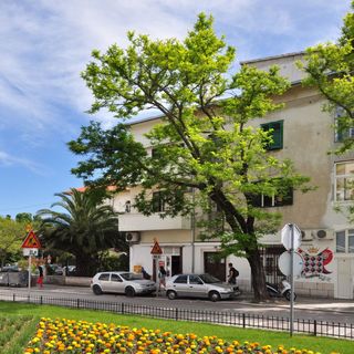 Luxury Apartment Spasio Split (3)