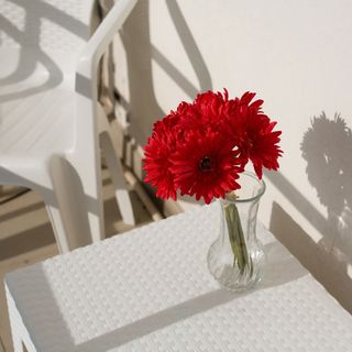 Apartman Sunset Serenity Podstrana (4)