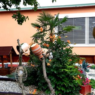 Luca Apartman Pápa (4)