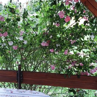 Nikes Üdülőház Balatonkeresztúr (3)