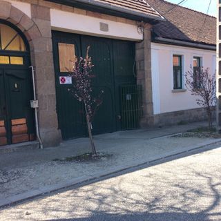 Mohatetős Lombház Üröm (4)