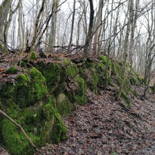Csillag Vendégház Répáshuta (5)