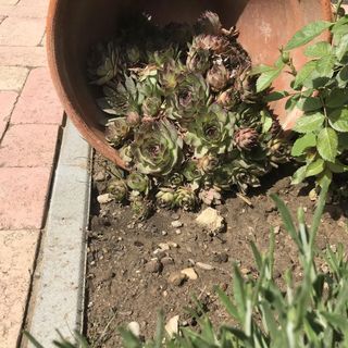 Pajta Szálló Magyarpolány (4)