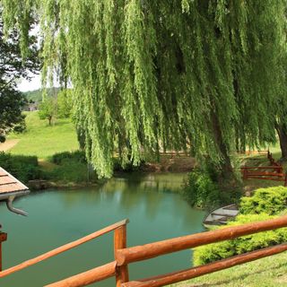 Tó-Kert Vendégház Magyarpolány (4)