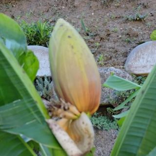 Mecseki Farkaslak Vendégház Magyarhertelend (3)