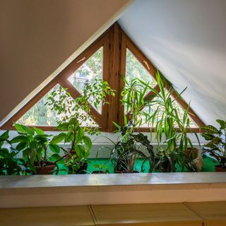 Summa Vitae Üdülő Piliscsaba (3)