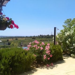 Villa Aleksandra Novigrad (5)