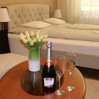 Jókai Apartman Szarvas (3)