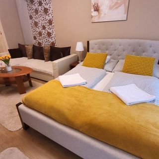 Jókai Apartman Szarvas (4)