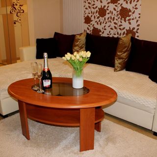 Jókai Apartman Szarvas (5)