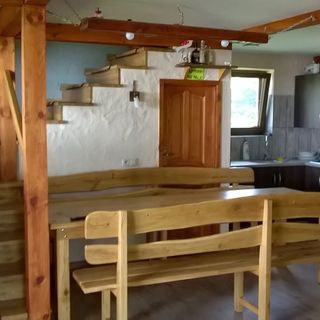 Ptasi Folwark Biebrza (3)