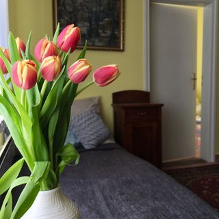 Mátrai Vadászház Mátraterenye (5)