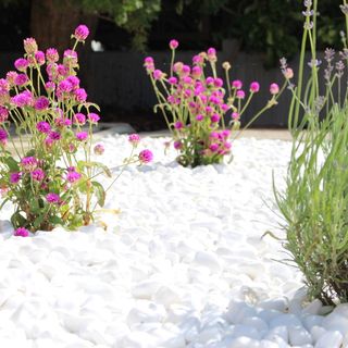 White Stone Apartman Hajdúszoboszló (5)