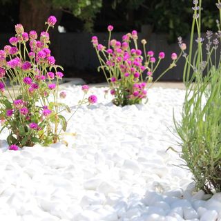 White Stone Apartman Hajdúszoboszló (5)