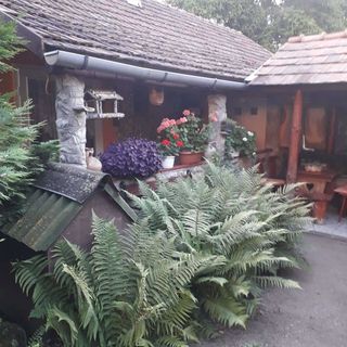 Mókus Vendégház Szilvásvárad (4)