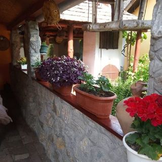 Mókus Vendégház Szilvásvárad (5)