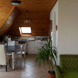 Flóra Vendégház Vonyarcvashegy (5)