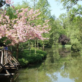 Sante Apartman Sárvár (2)