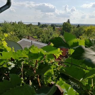 Dávid Vendégház Gyenesdiás (3)