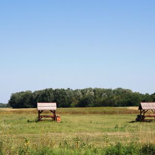 Csodarét Kúria Mórahalom (3)