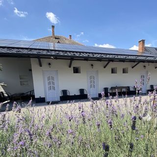 Örökzöld Apartman Szeged (2)