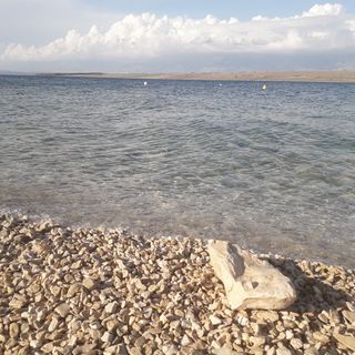 Apartman Cvitkovic Vir (3)