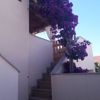 Apartman Cvitkovic Vir (4)